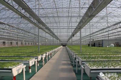 科技賦能，田園生輝 肥東現代農業示范園即將盛大開園